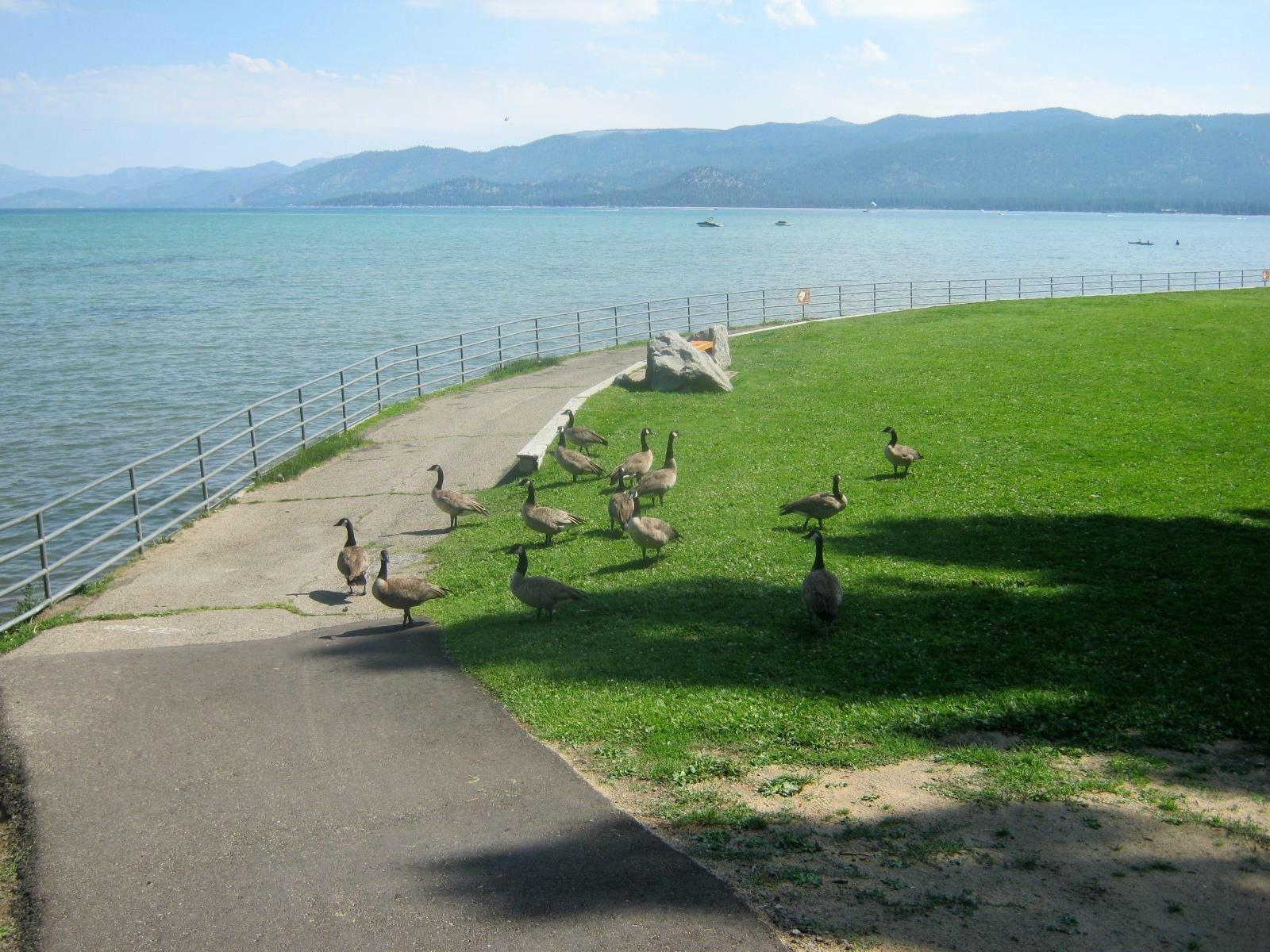 Thomas F. Regan Memorial Park