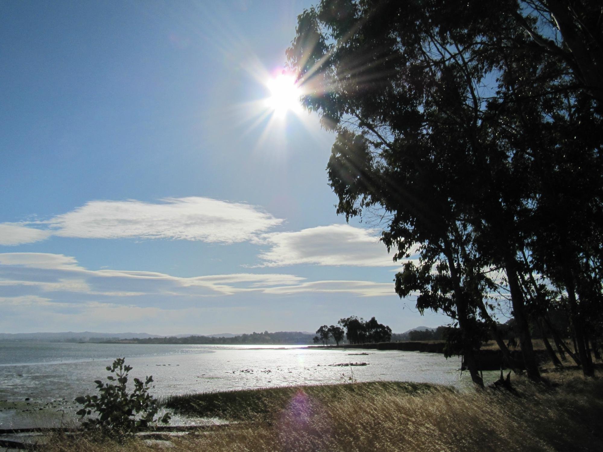 Point Pinole