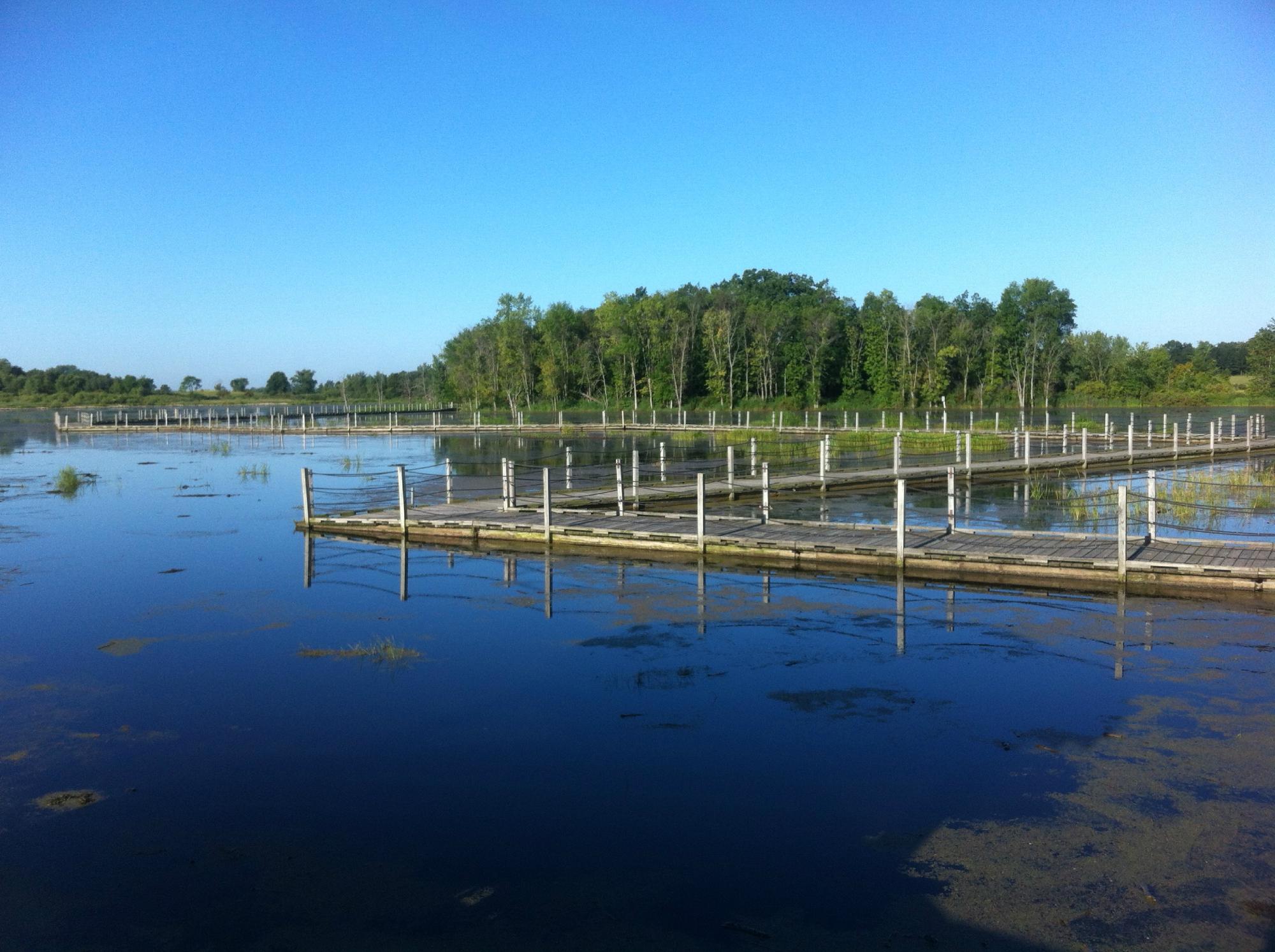 Horicon Marsh