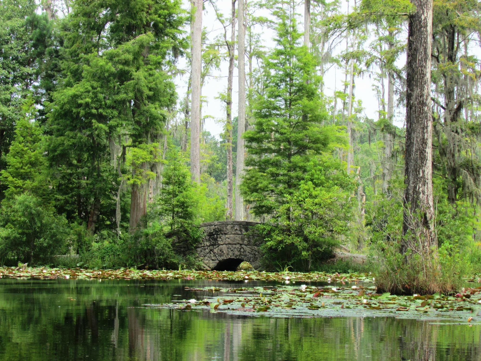 Cypress Gardens