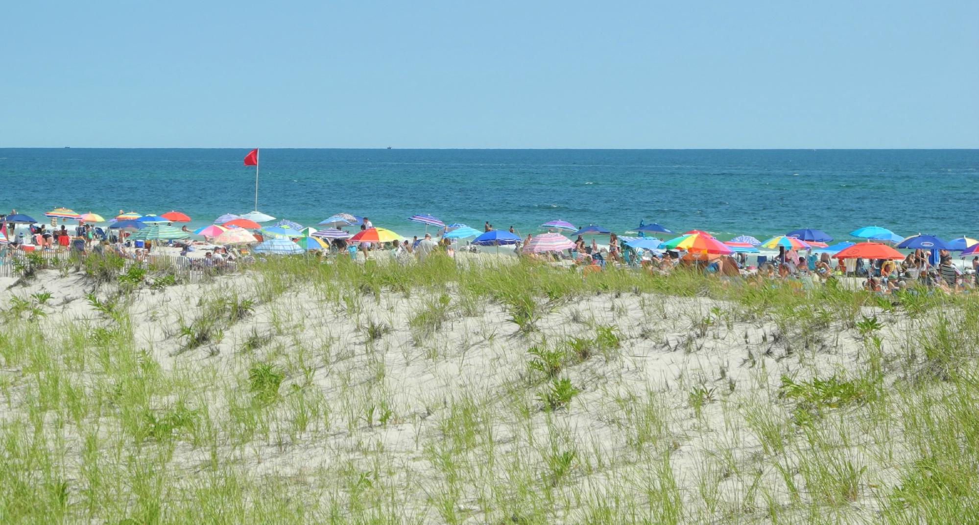 Cupsogue Beach Hut