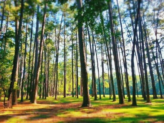 Sesquicentennial State Park