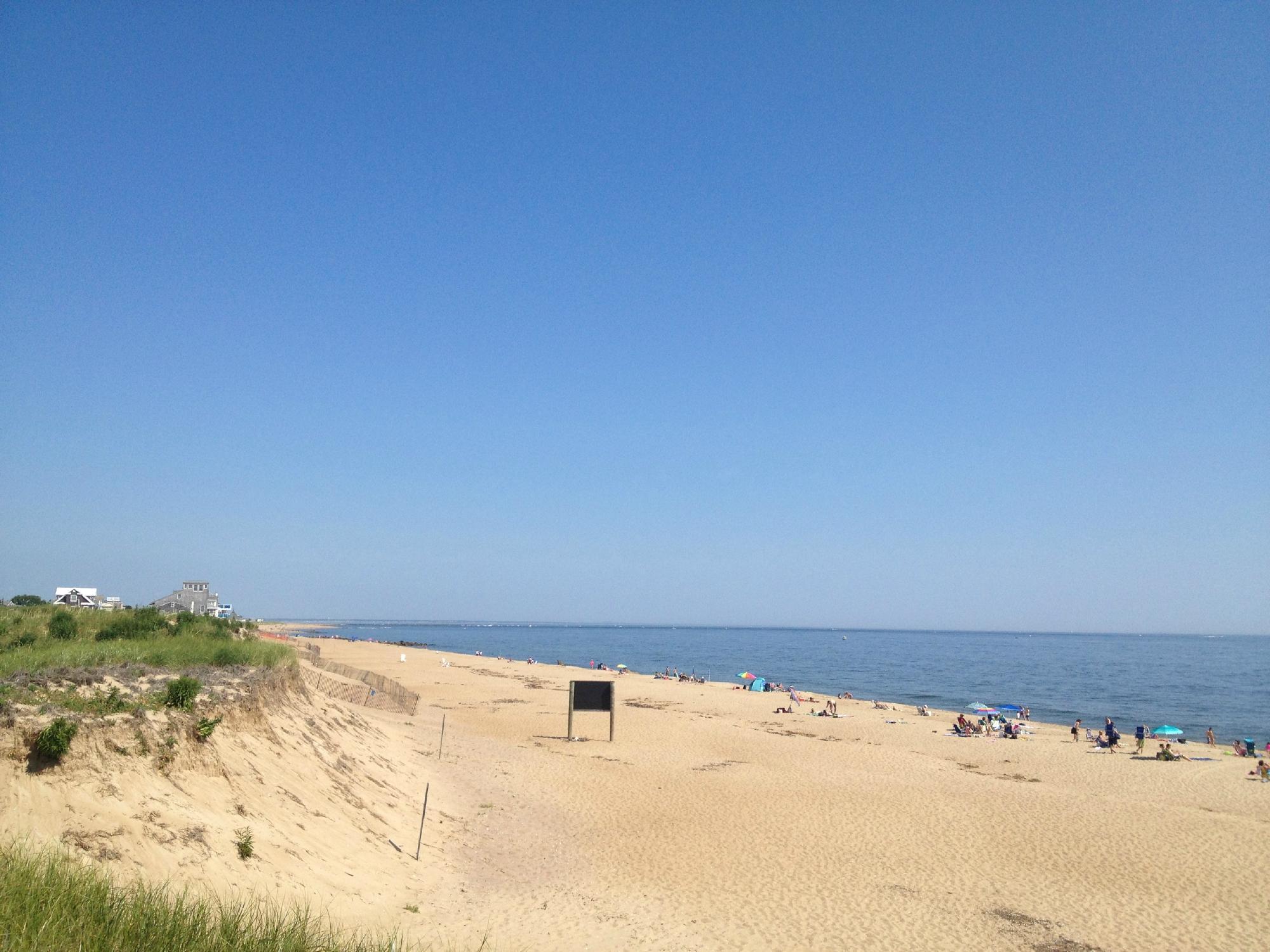 Plum Island Ecotours