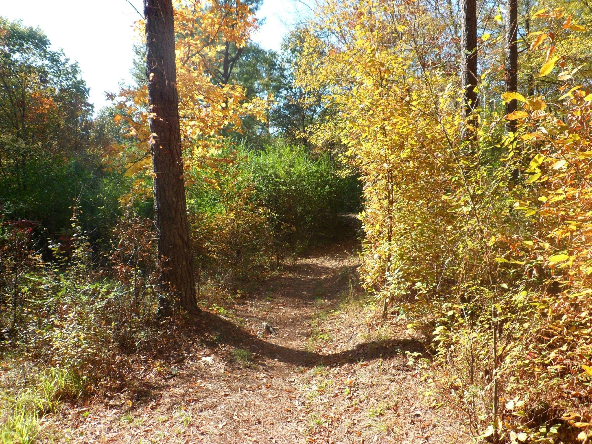 Cedar Glades Park