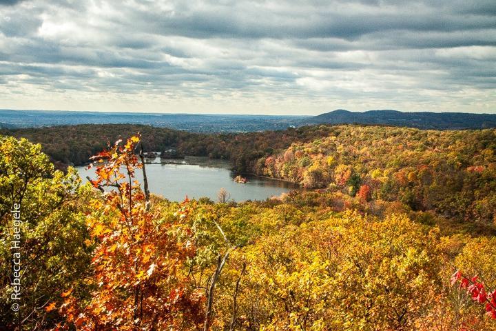 Ringwood State Park