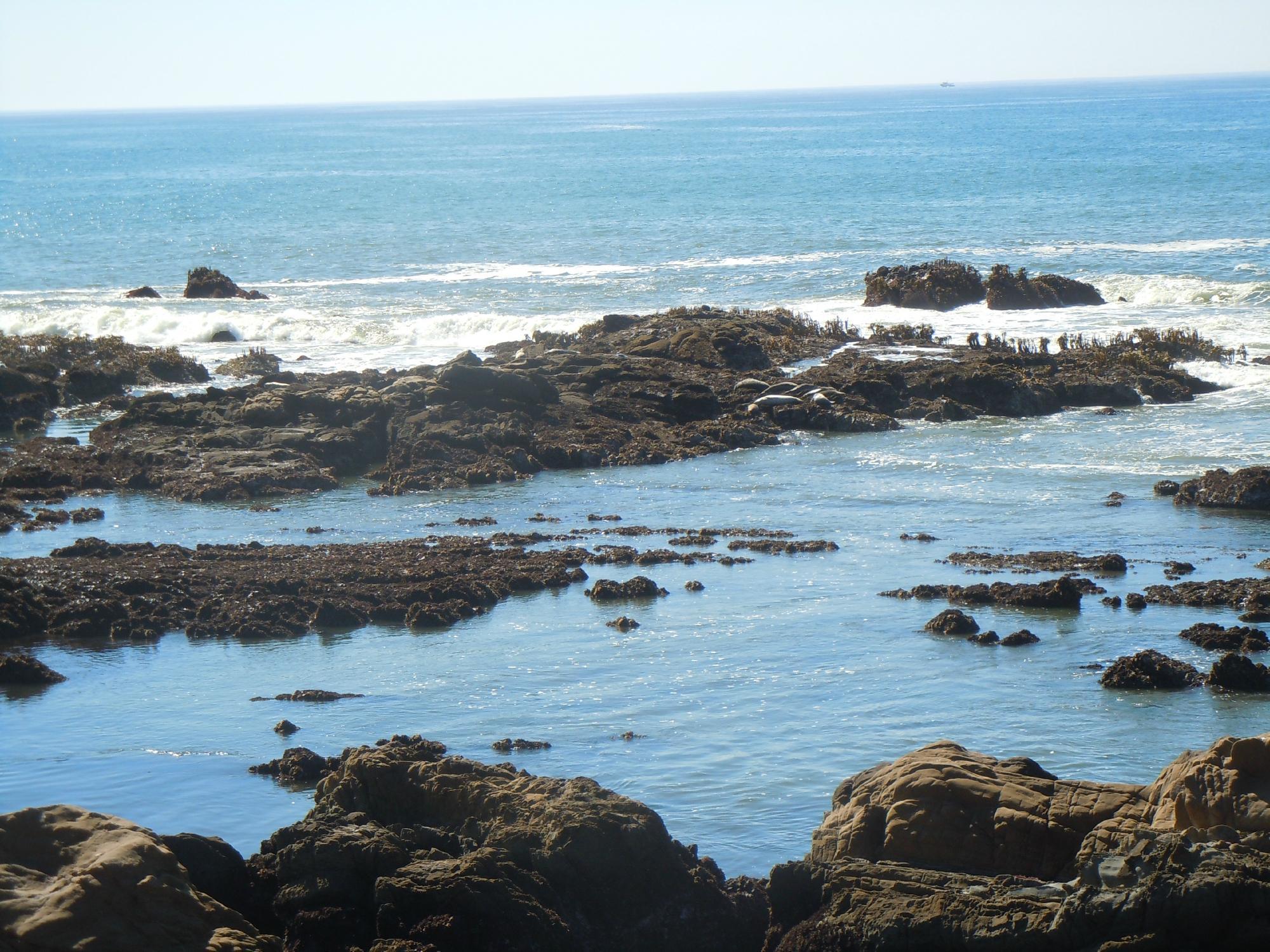 Bean Hollow State Beach