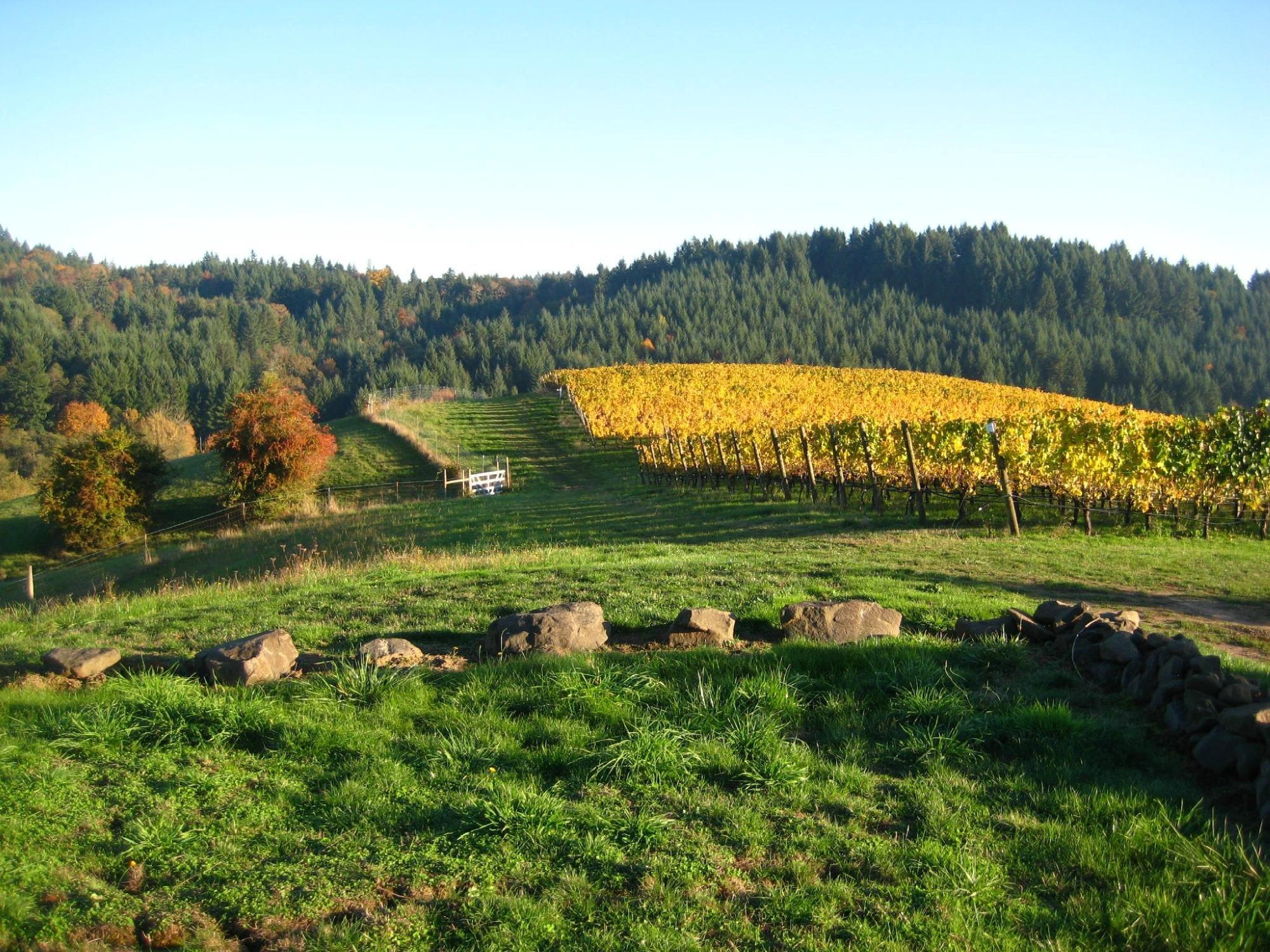 Willamette Valley