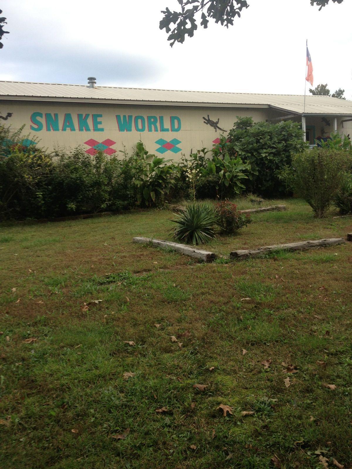 Snake World