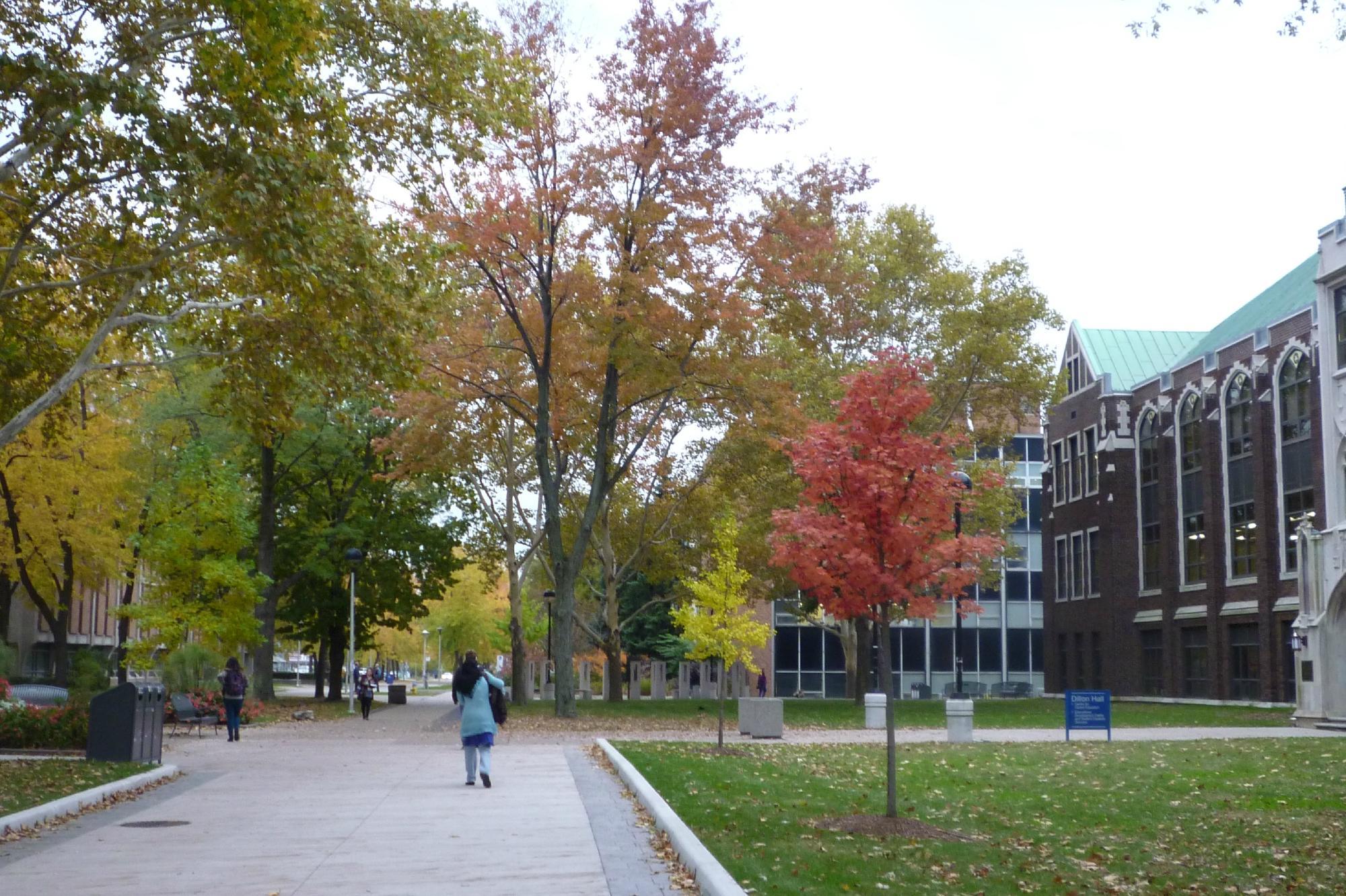 University of Windsor