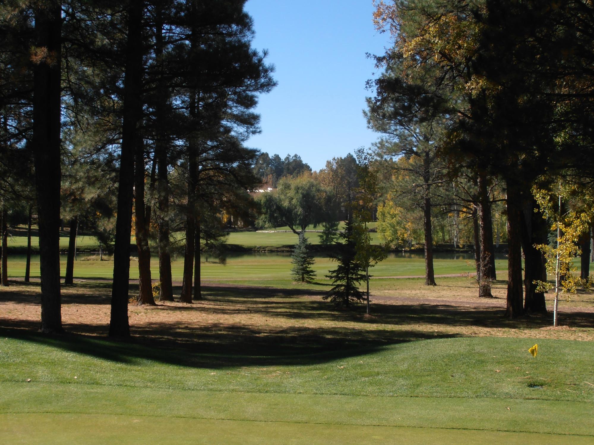 Pinetop Lakes Golf & Country Club