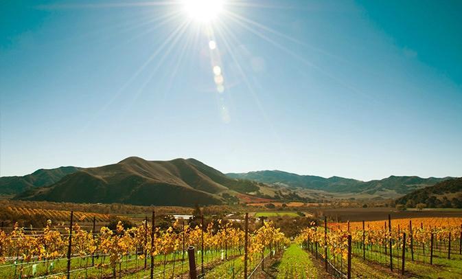 Santa Barbara Wine Region