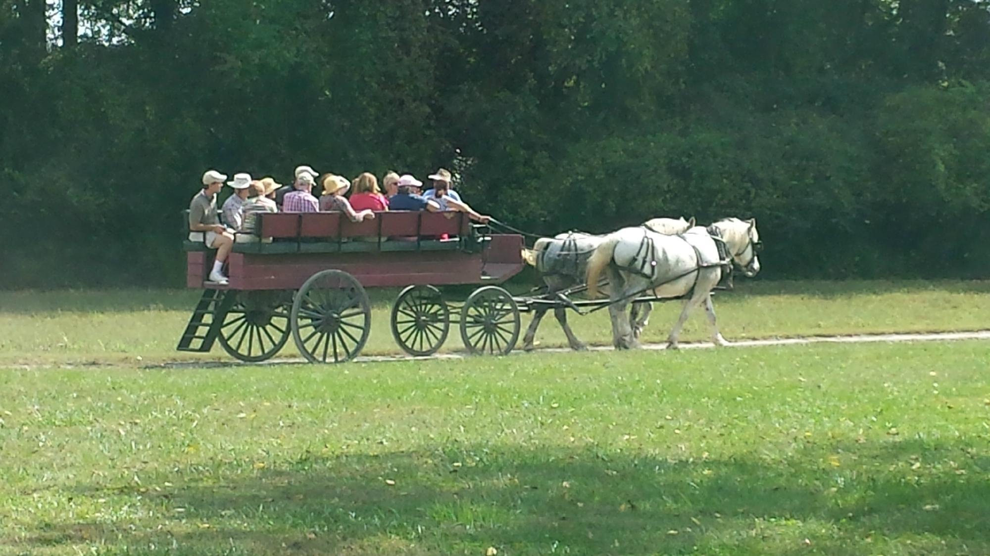 Carriage Rides Through Time