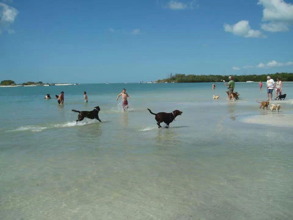 Bonita Springs Dog Park