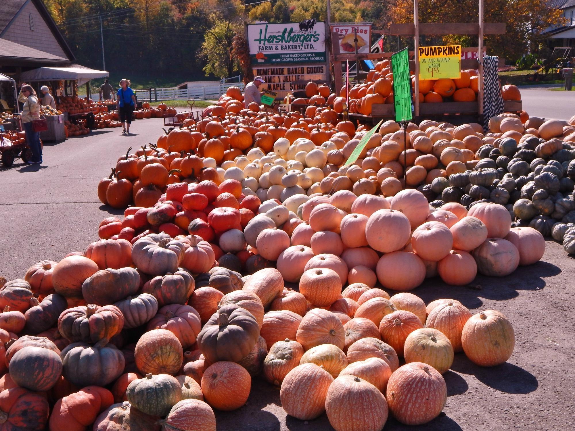 Hershberger's Farm and Bakery