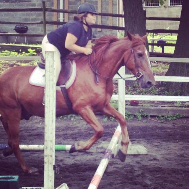 Bronx Equestrian Center