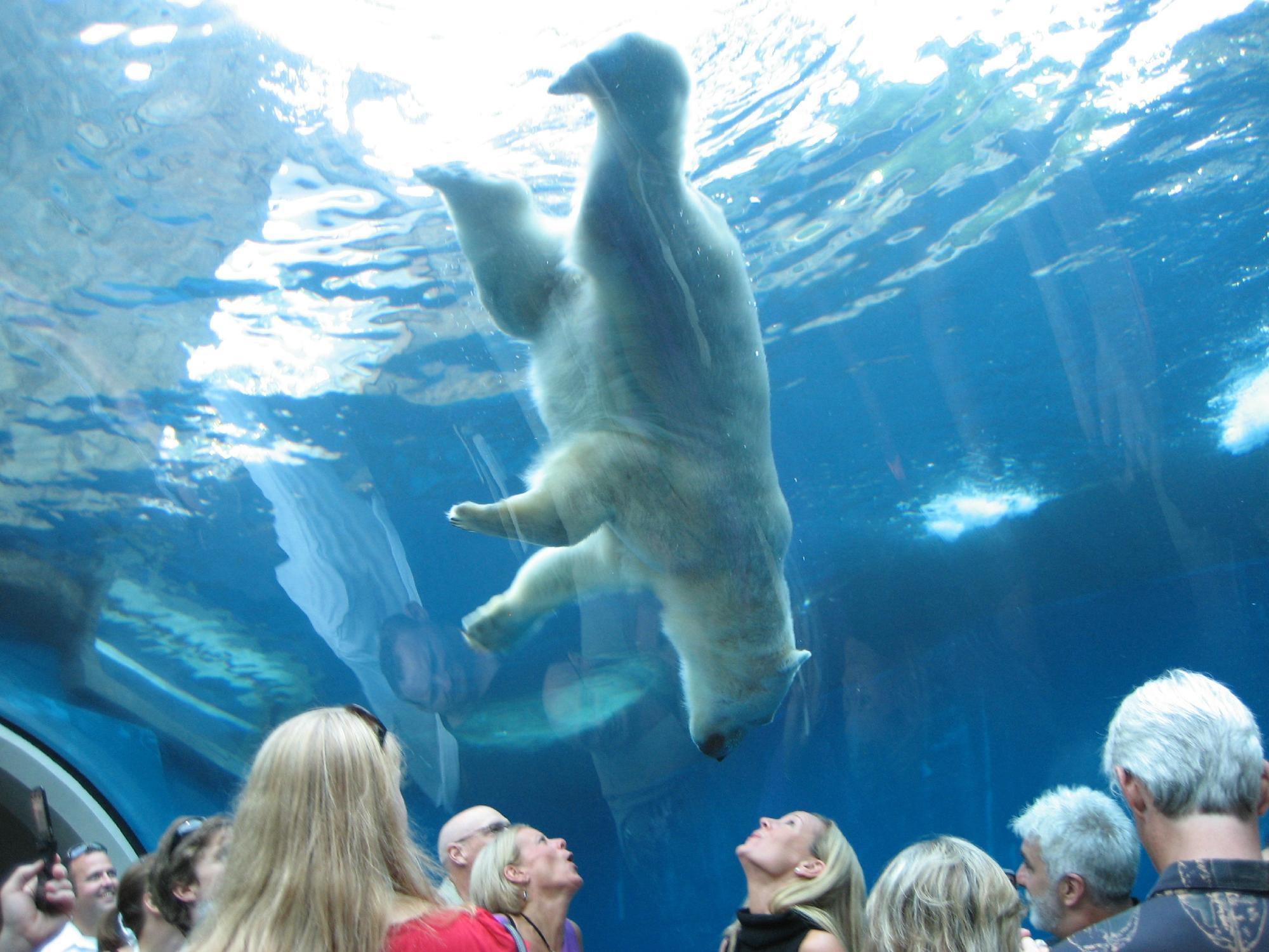 Pittsburgh Zoo & Aquarium 