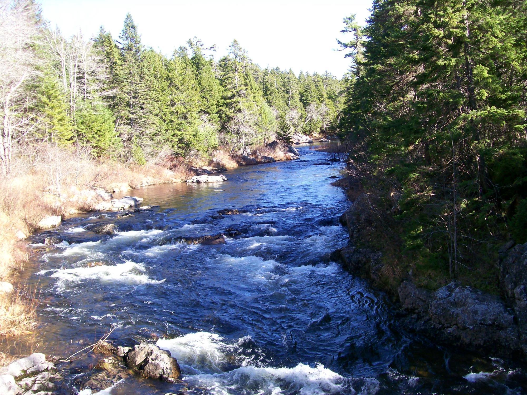 Adair's Wilderness Lodge