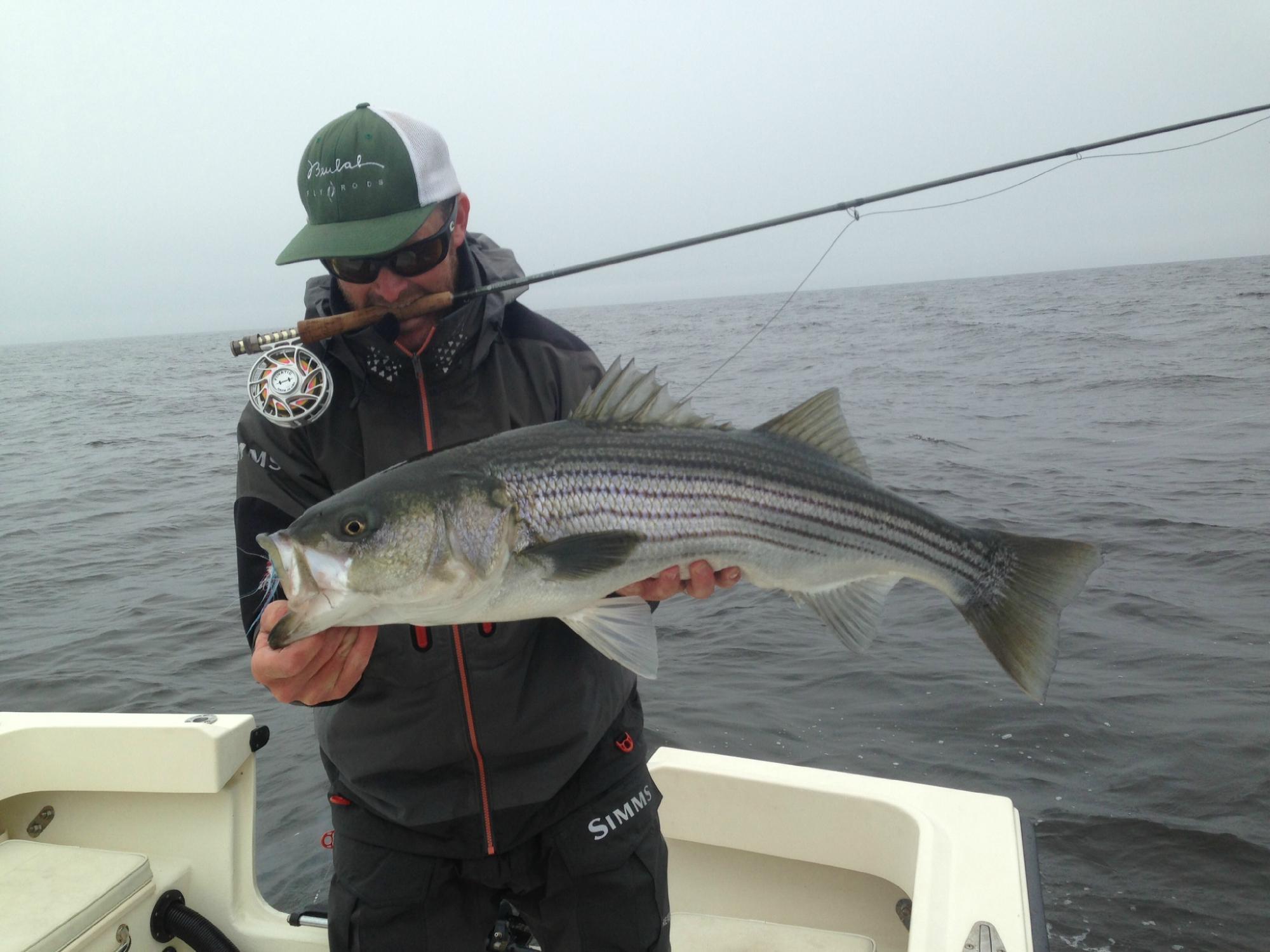 Greasy Beaks Fly Fishing and Boston Fly Fishing