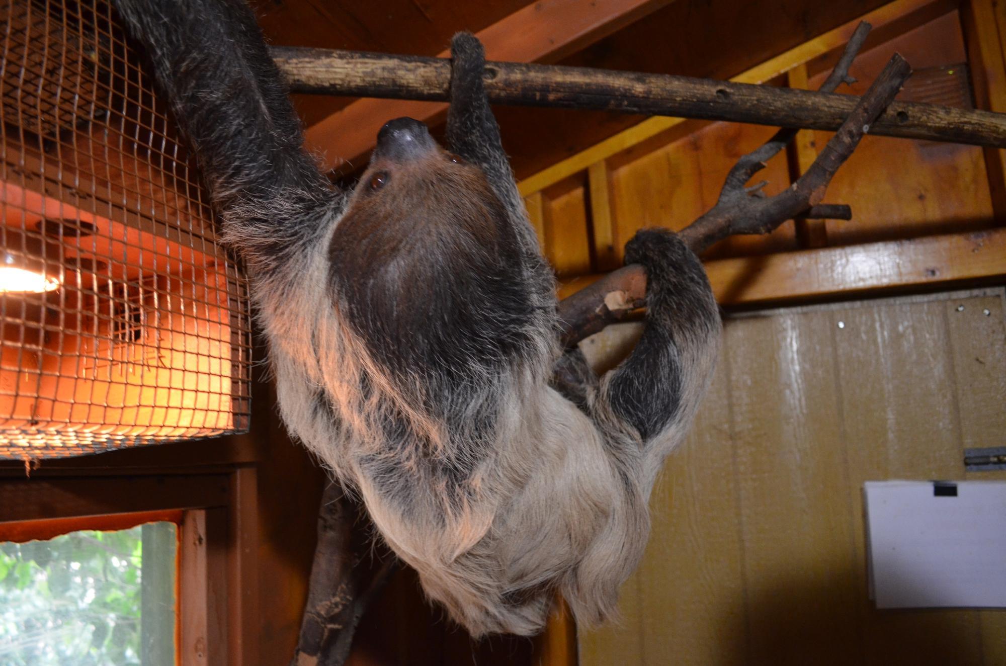 Wildlife Learning Center