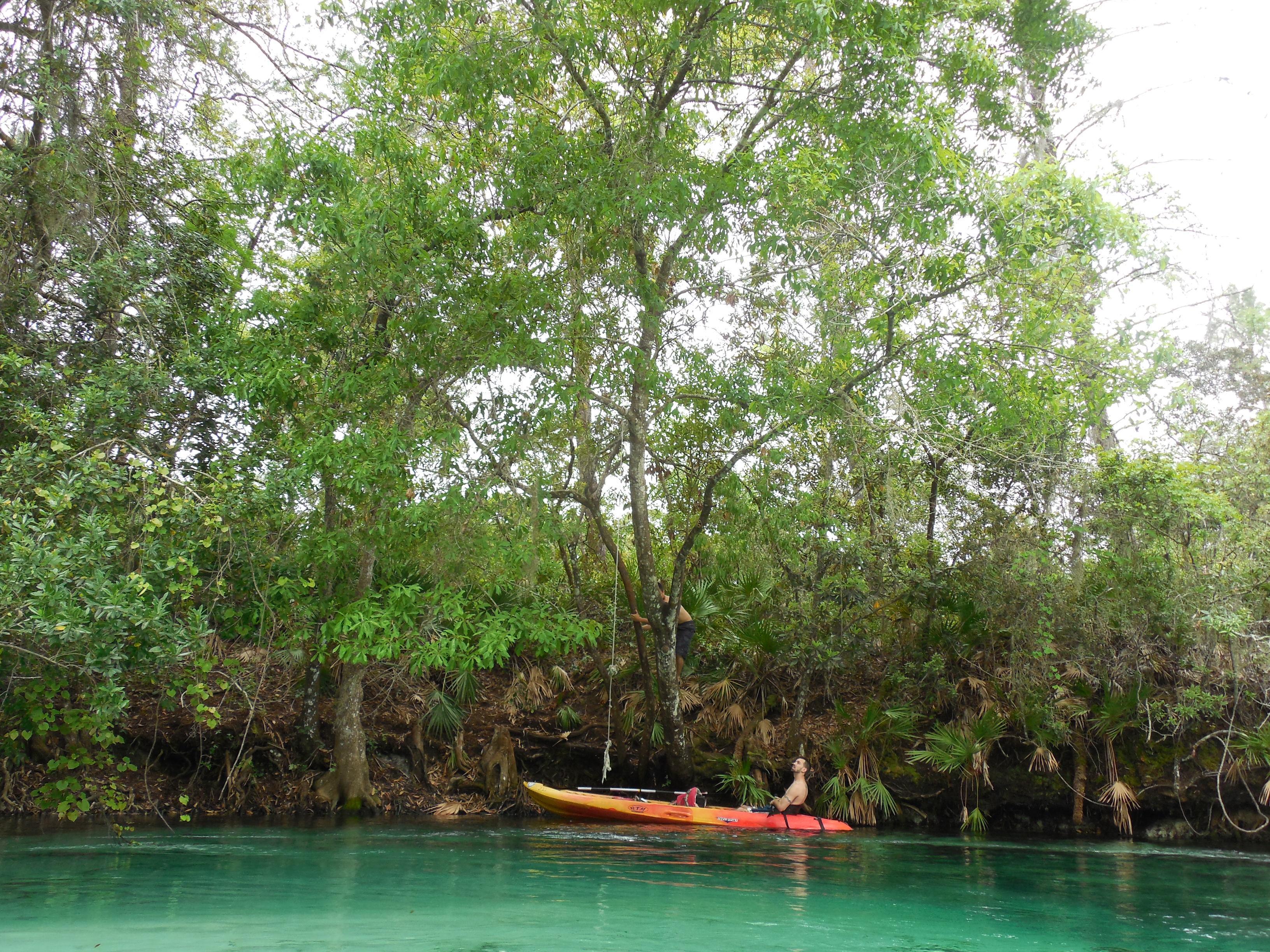 Weeki Wachee Springs State Park