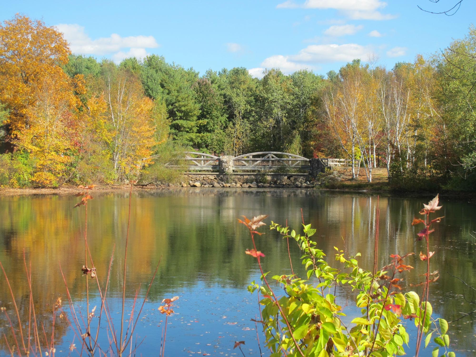 Lincoln Woods State Park