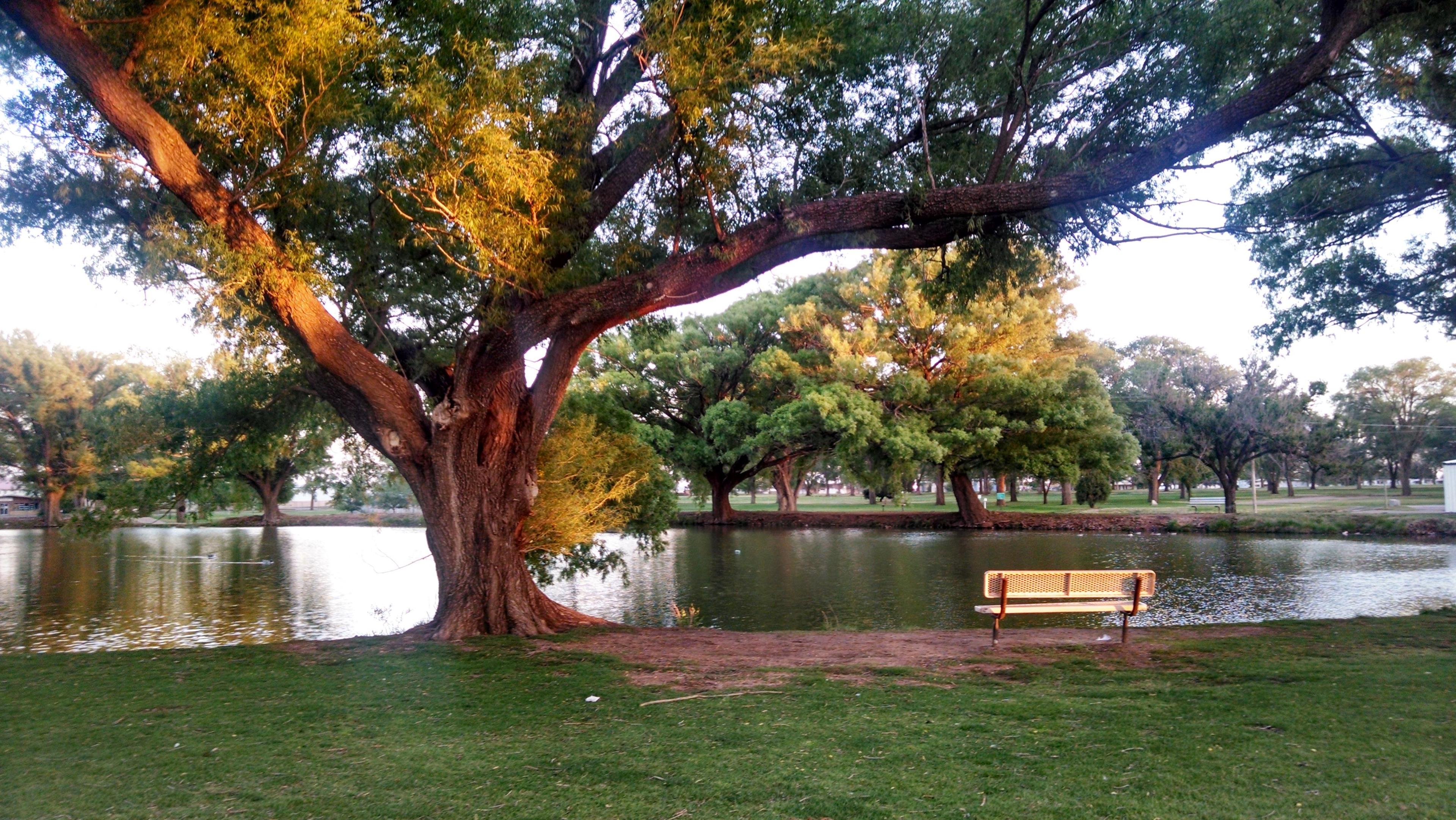 Hillcrest Park Zoo