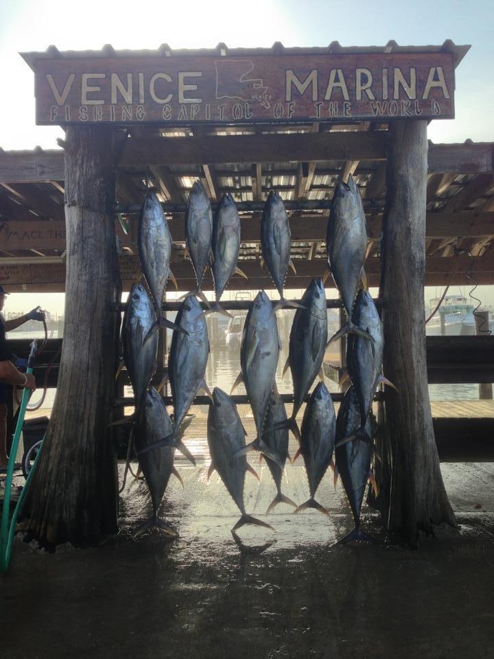 Home Run Fishing Charters