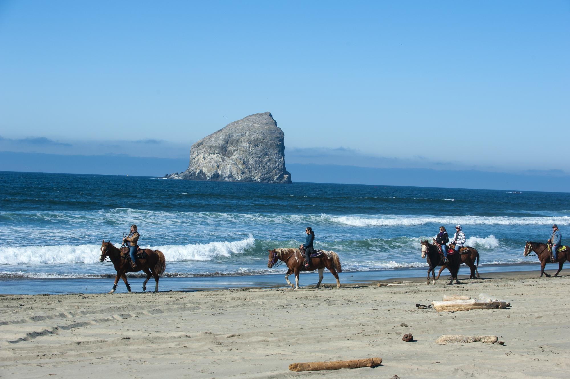 Green Acres Beach & Trail Rides