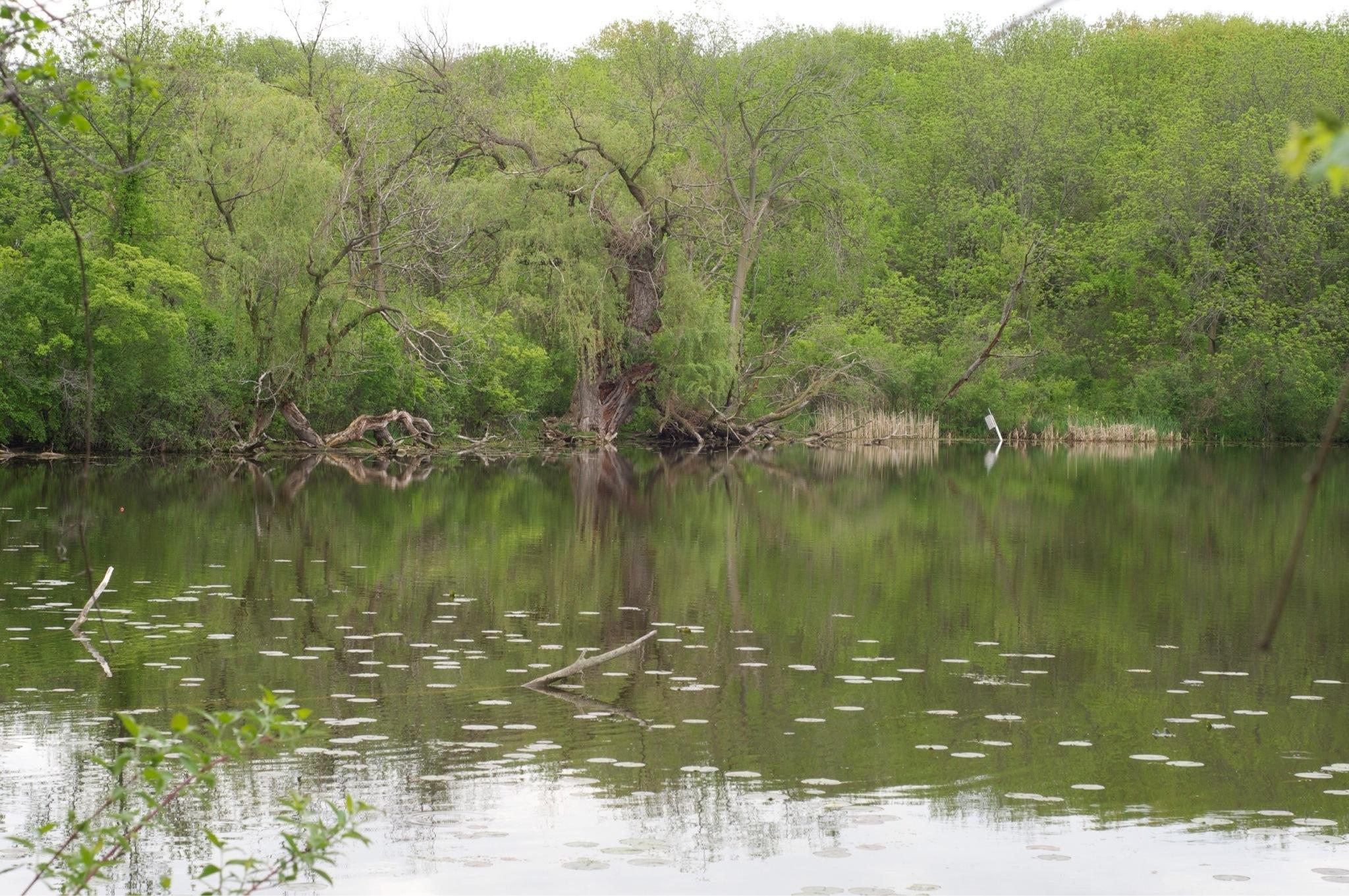 Wehr Nature Center