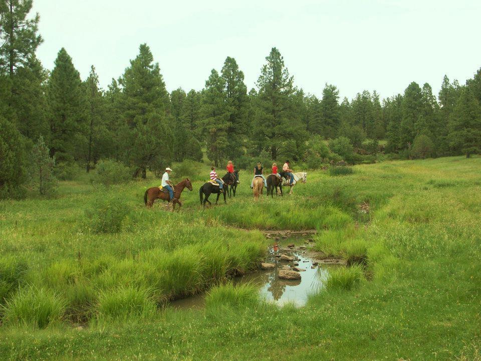 Porter Mountain Stables