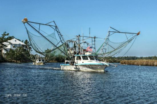 Fresh Market Seafood