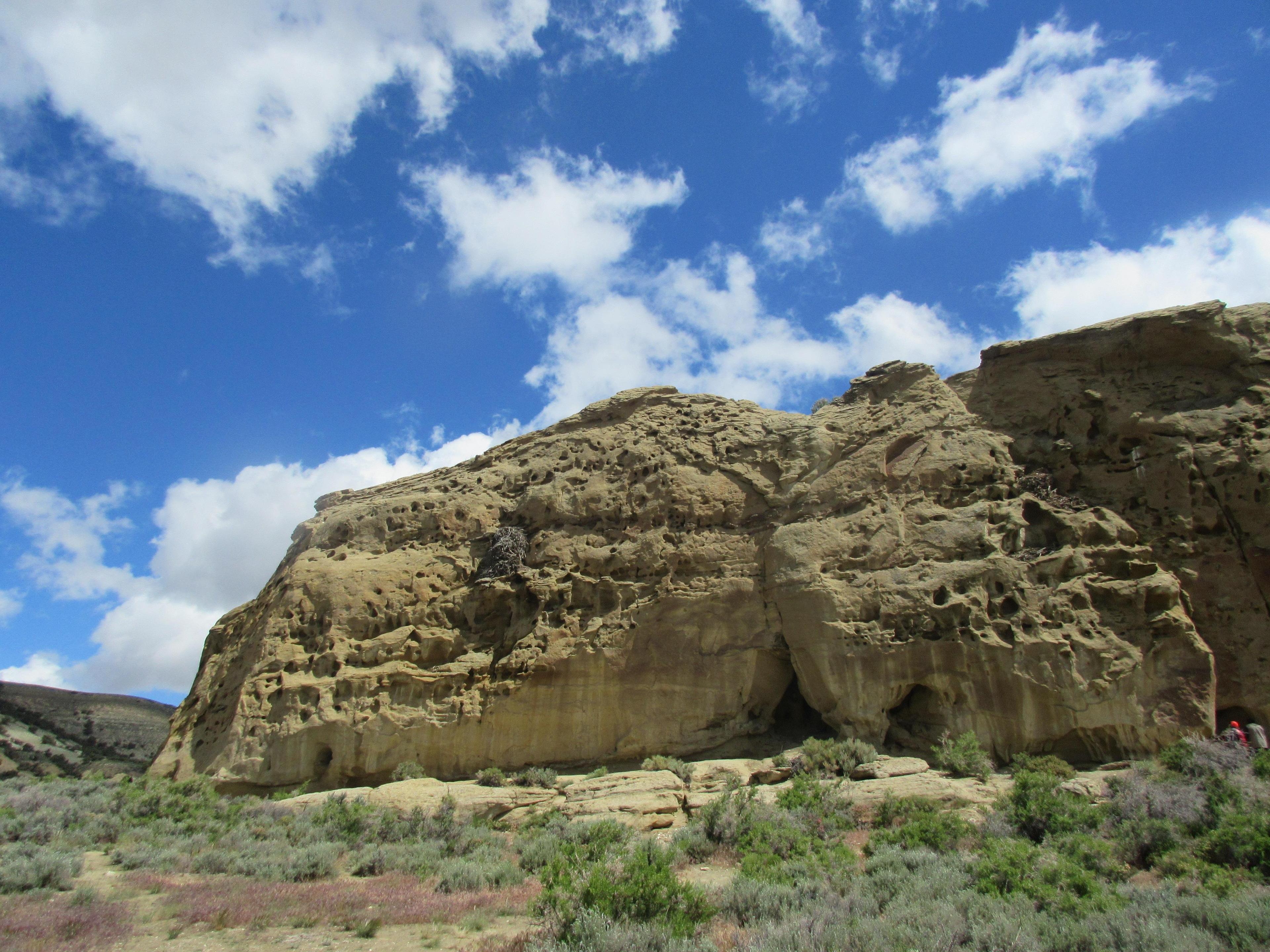 White Mountain Petroglyphs