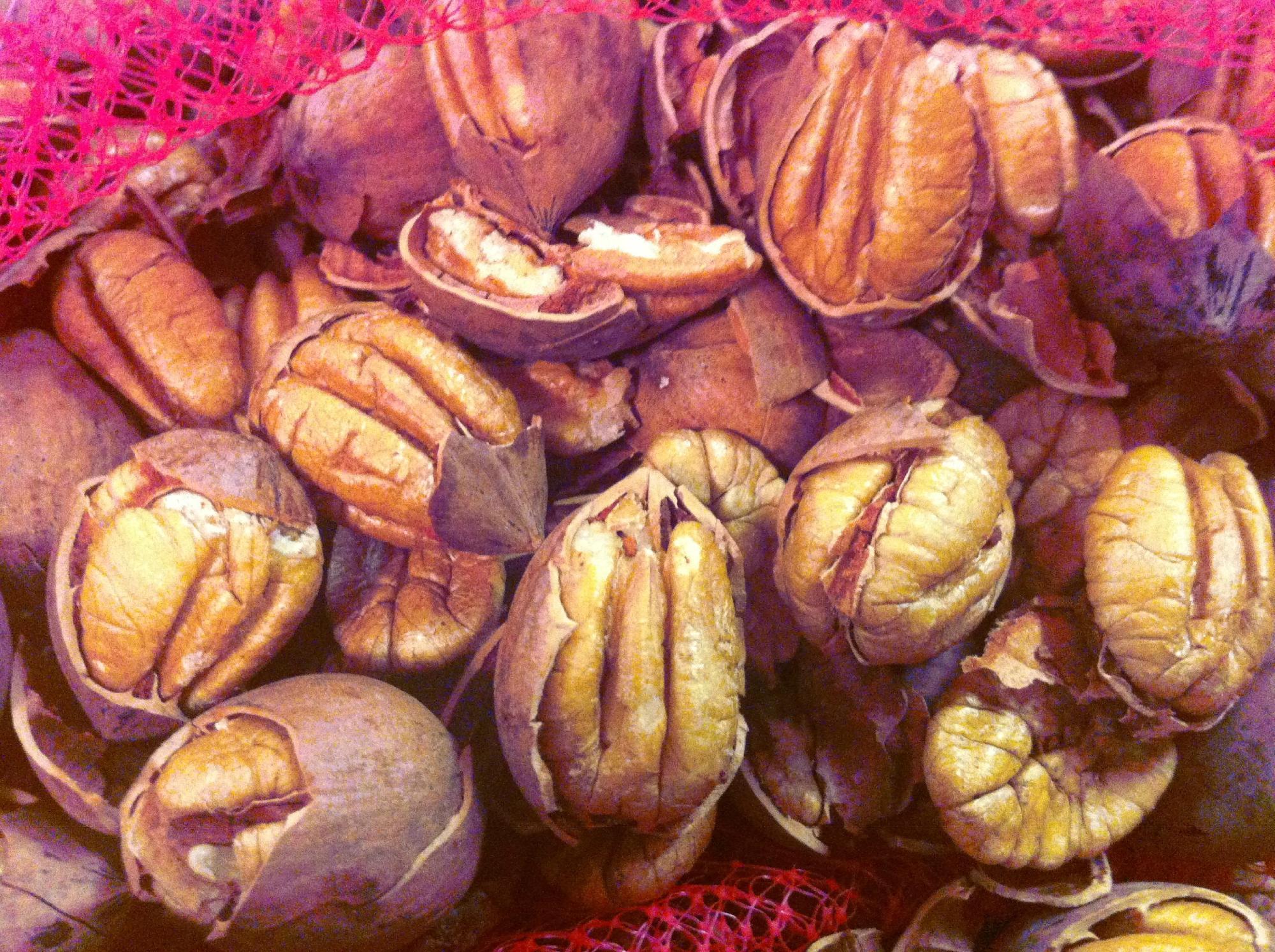 Natchitoches Pecans