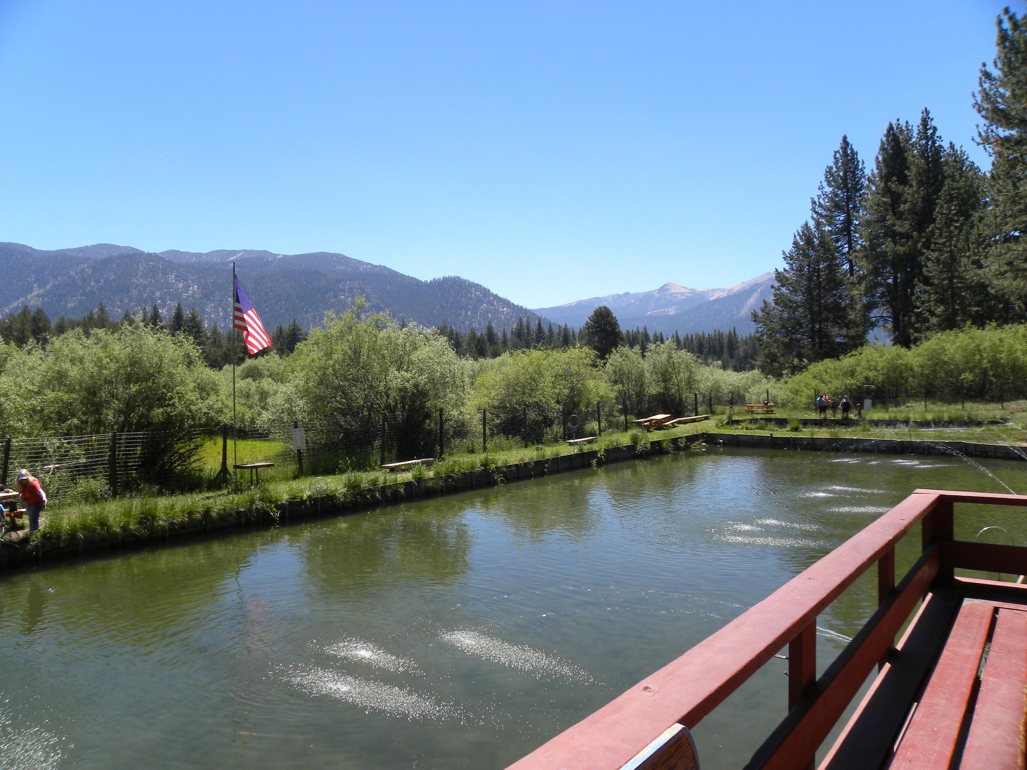 Tahoe Trout Farm