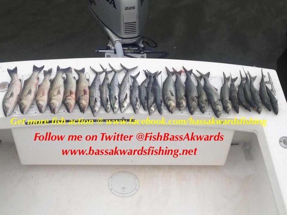 Bass Akwards Fishing Charters