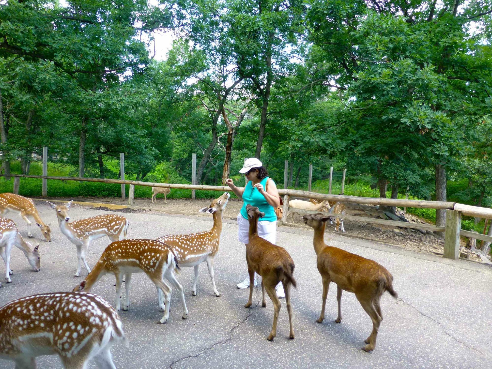 Wisconsin Deer Park