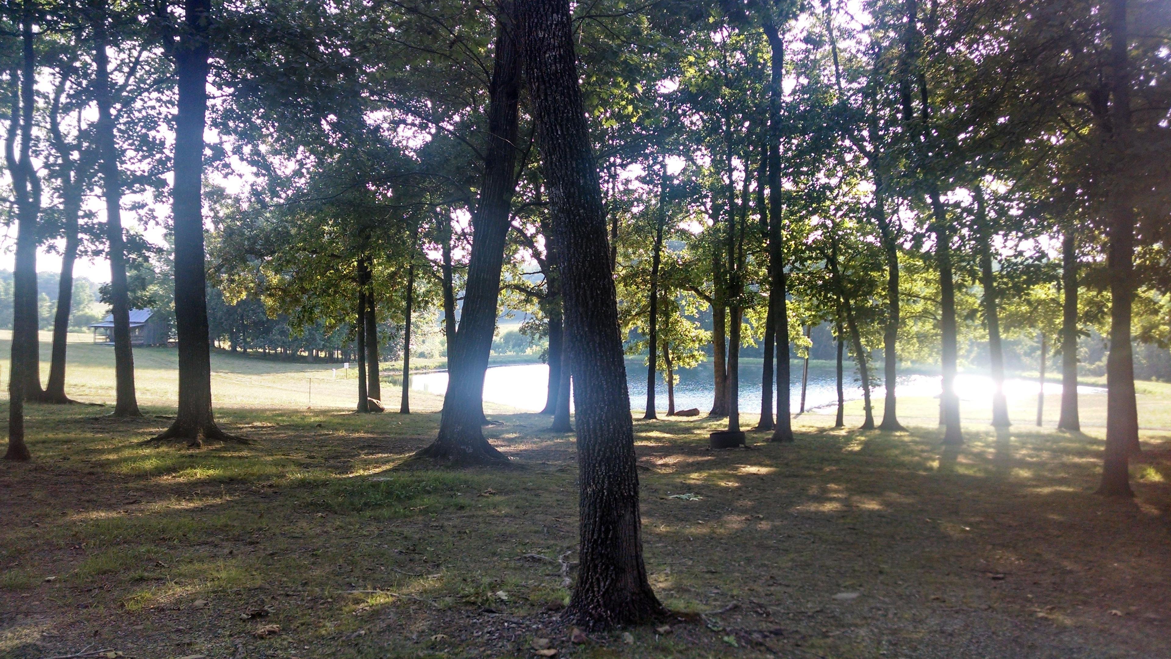 Cane Creek Cane Creek Campground