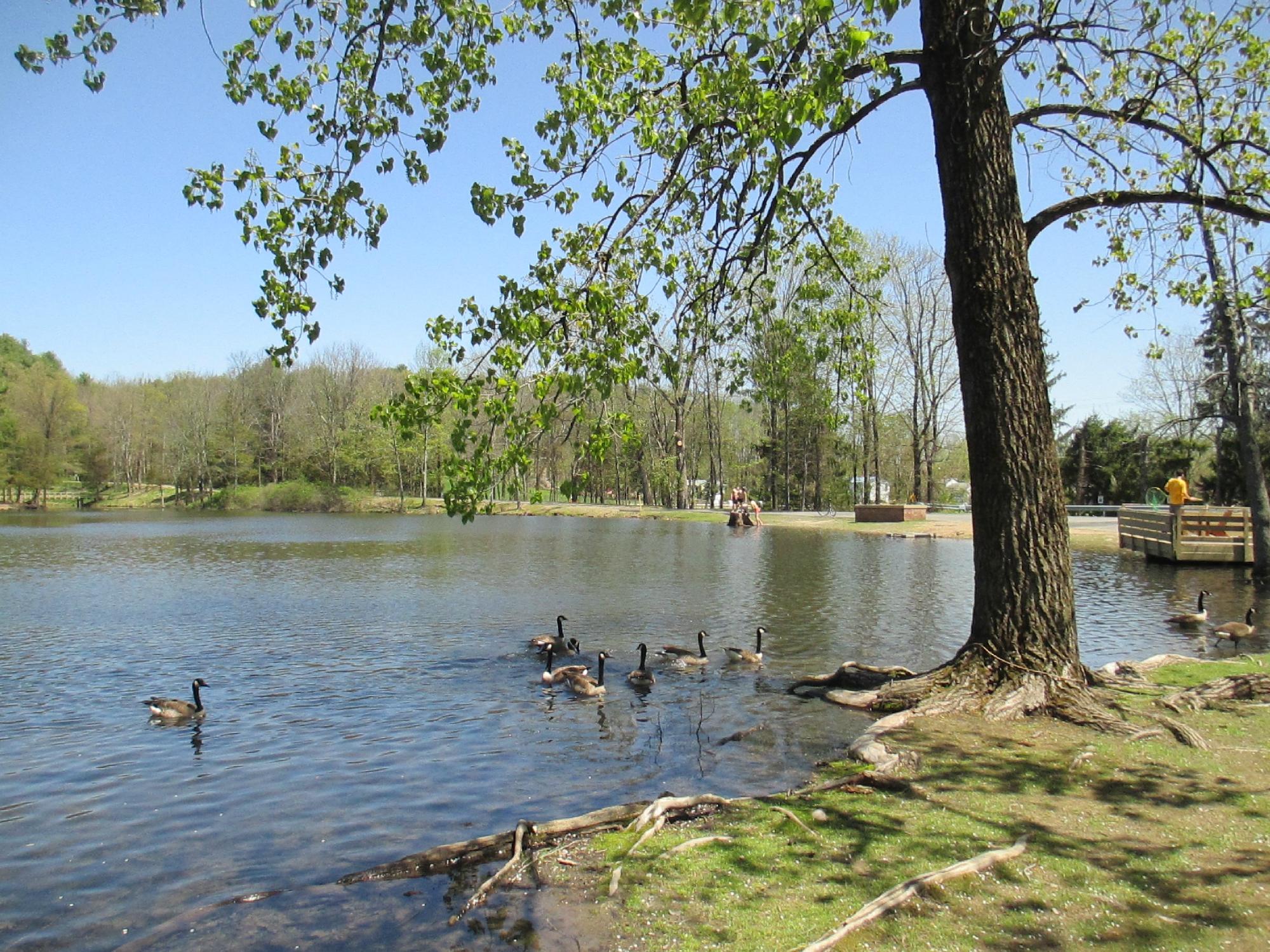 Lippman Park