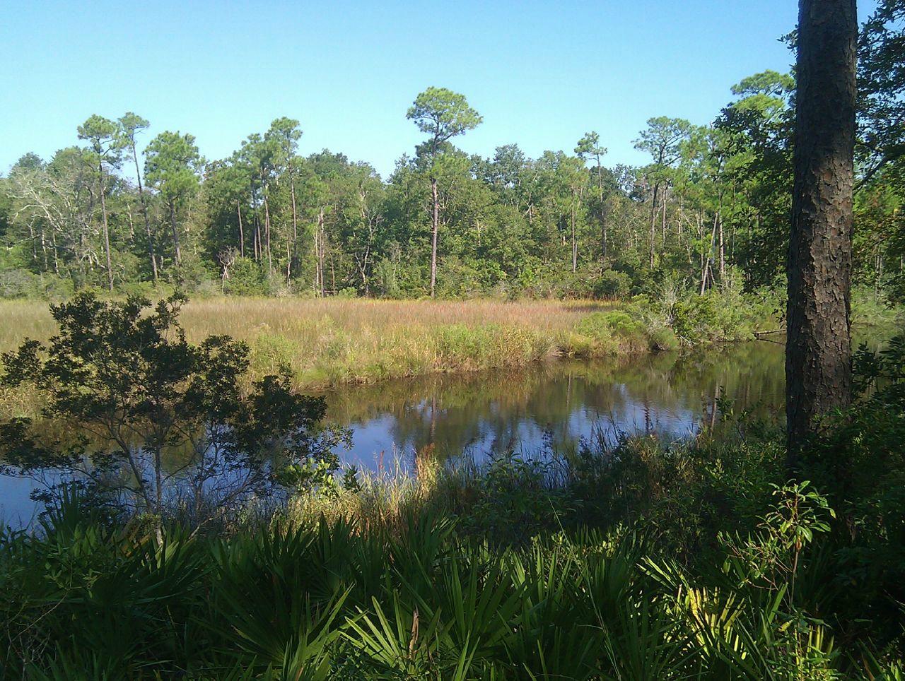 Fontainebleau Nature Trail