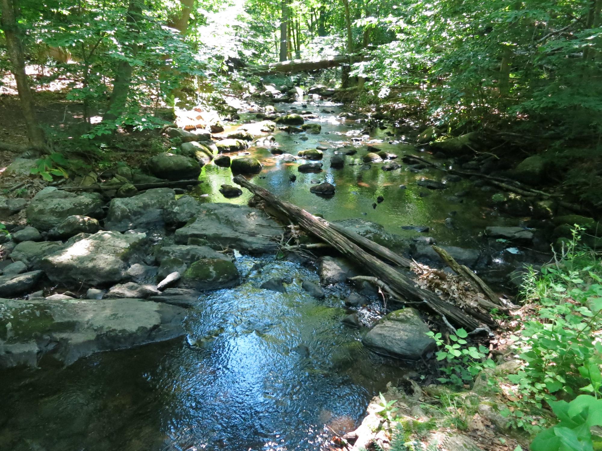 Audubon Center