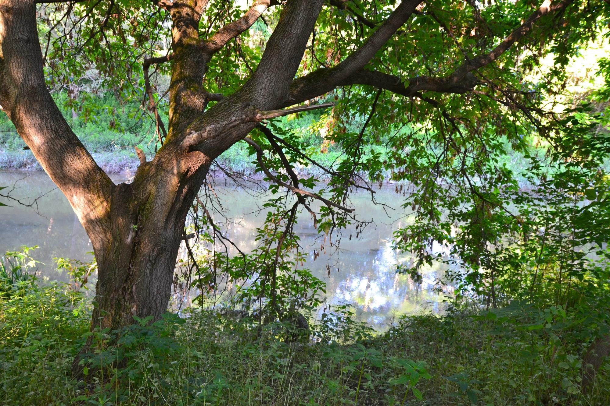 Rogers Reservoir Conservation Area