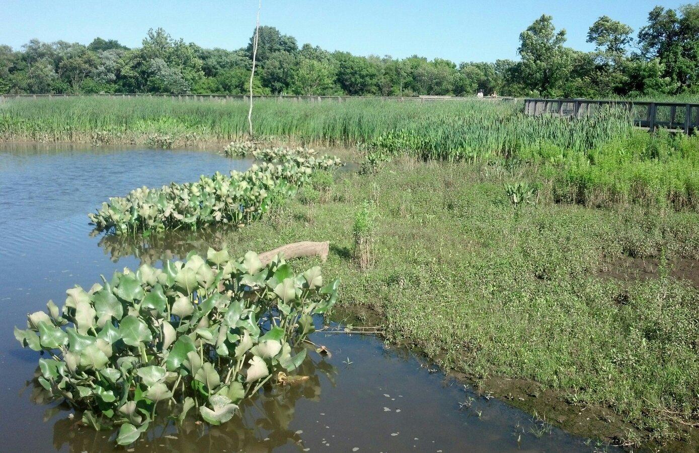 Russell W. Peterson Wildlife Refuge