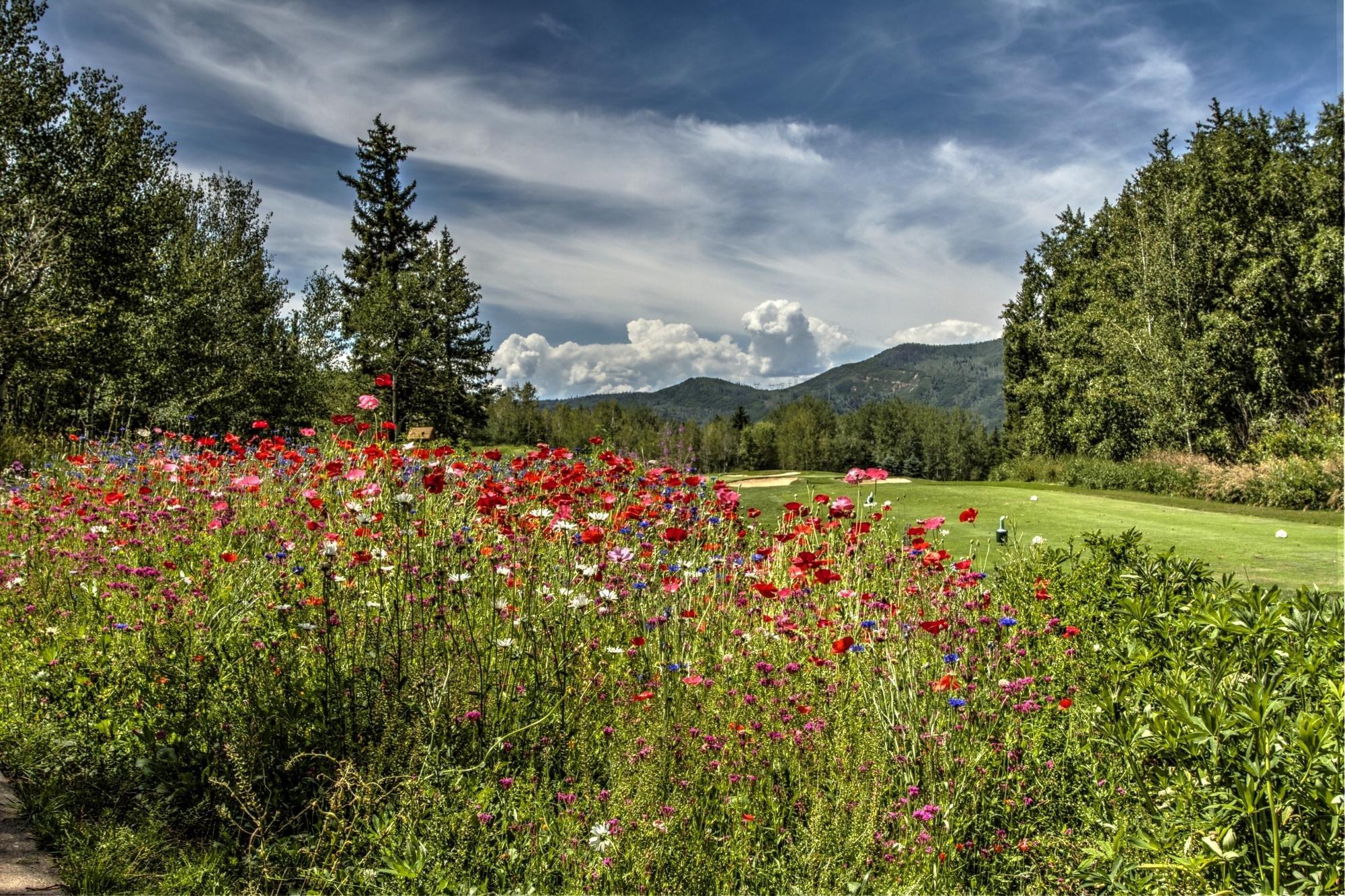 Rollingstone Ranch Golf Club