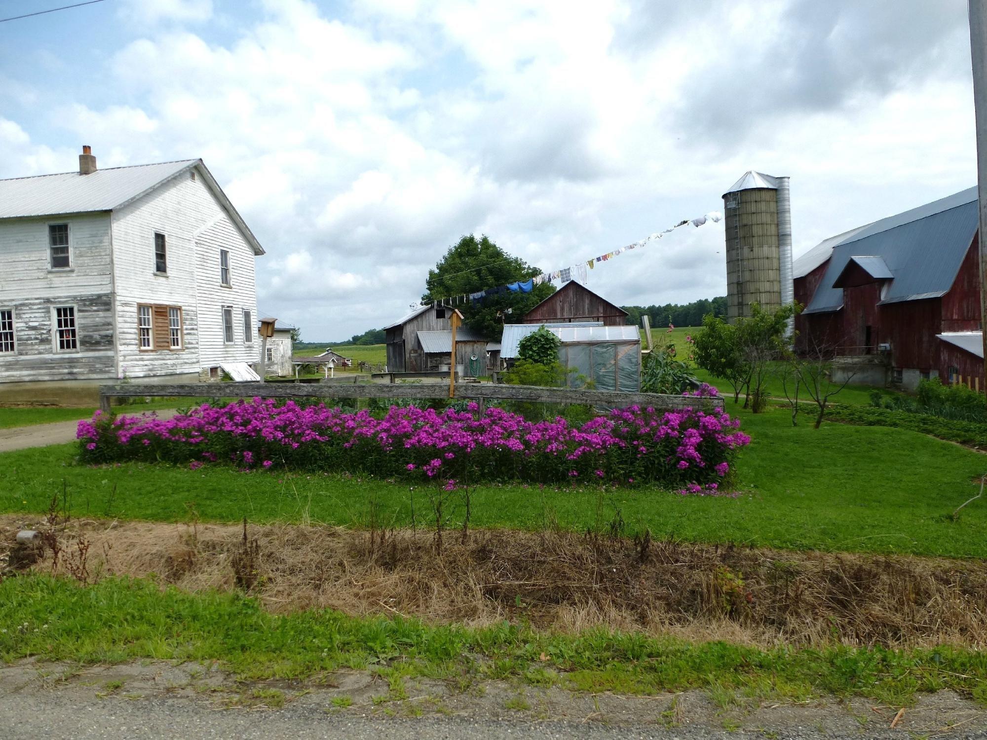 New York Amish Trail