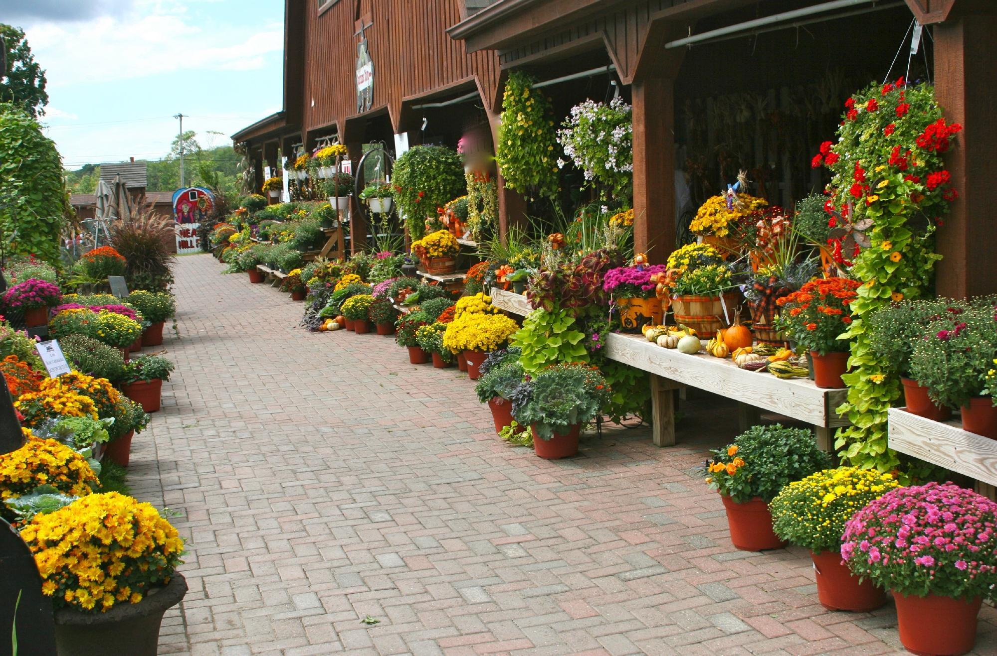 Heaven Hill Farm