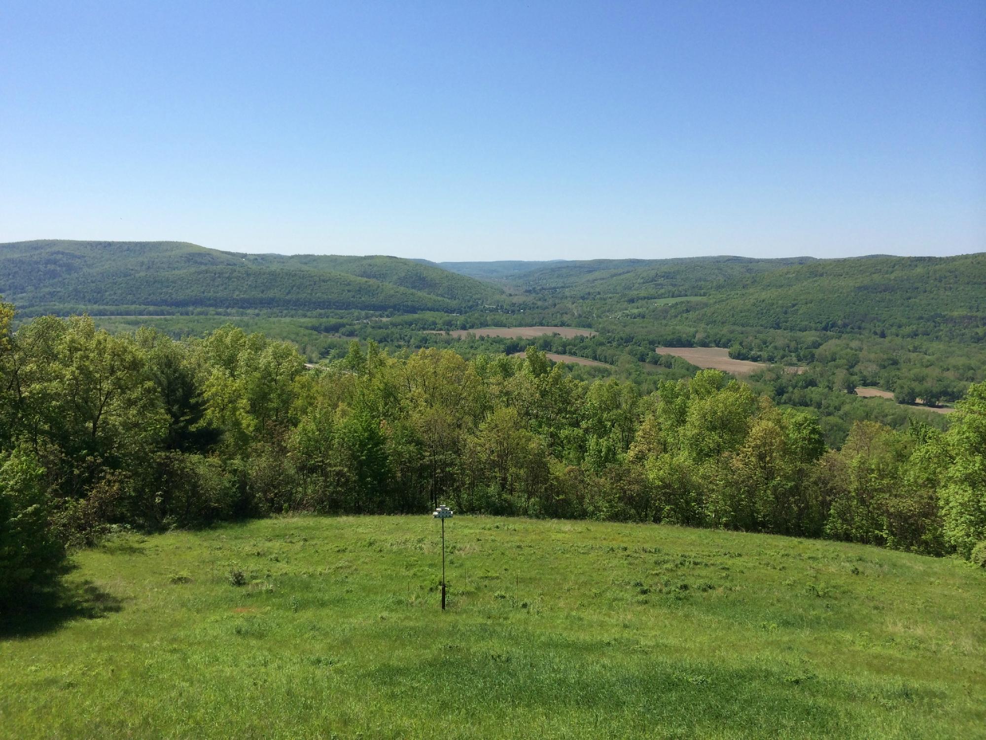 Newtown Battlefield State Park