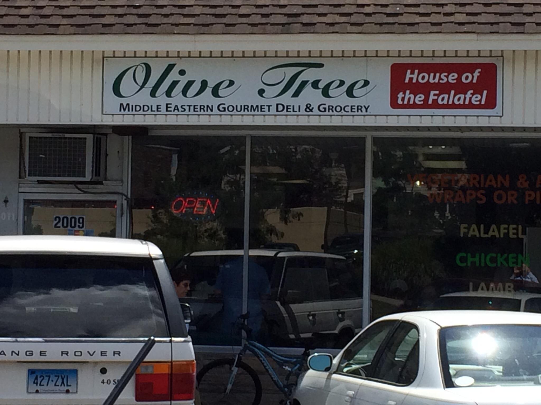 Olive Tree