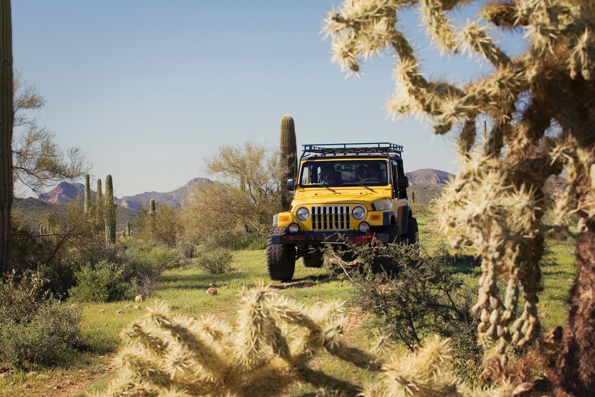 Apache Trail Tours