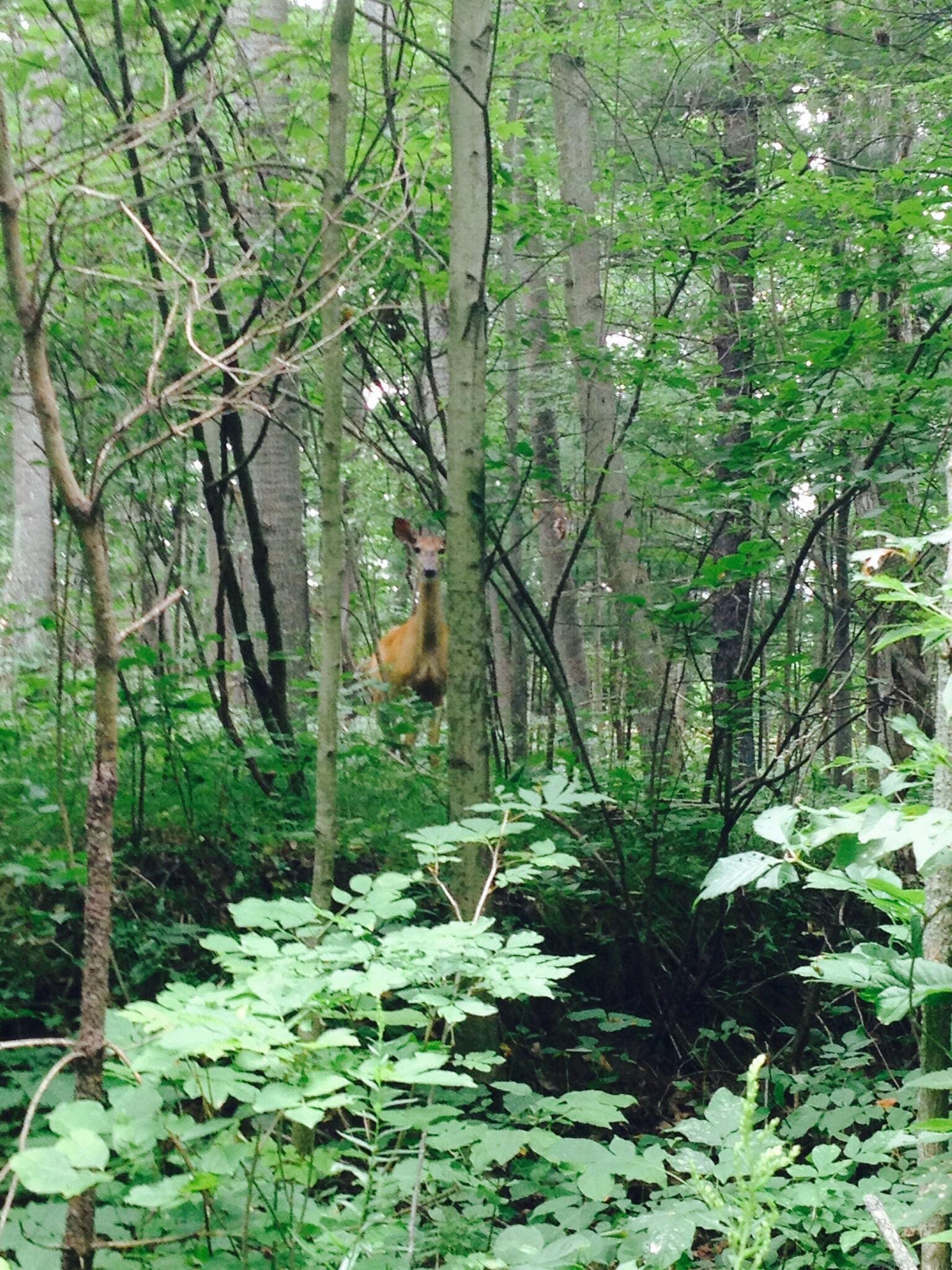 Komoka Provincial Park