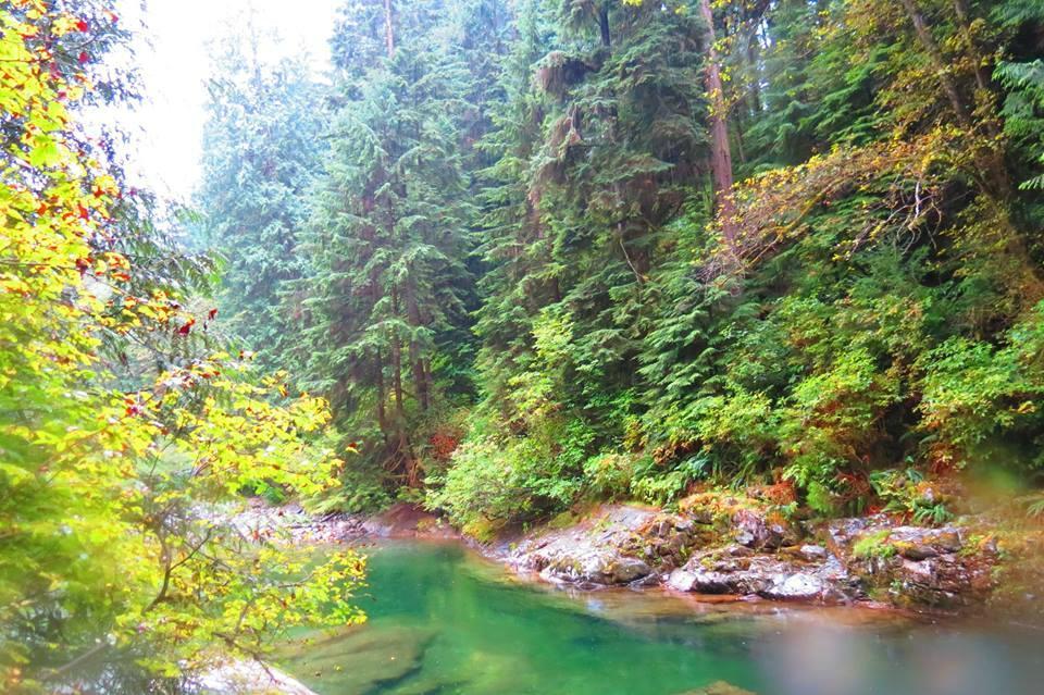 Lynn Canyon Park